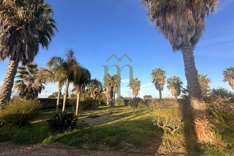 Villa i Mesagne, Brindisi, Mesagne - € 365.000 | Ref: Villa Palme - foto 22